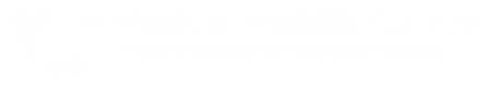 サシバの渡りルート全容解明プロジェクト